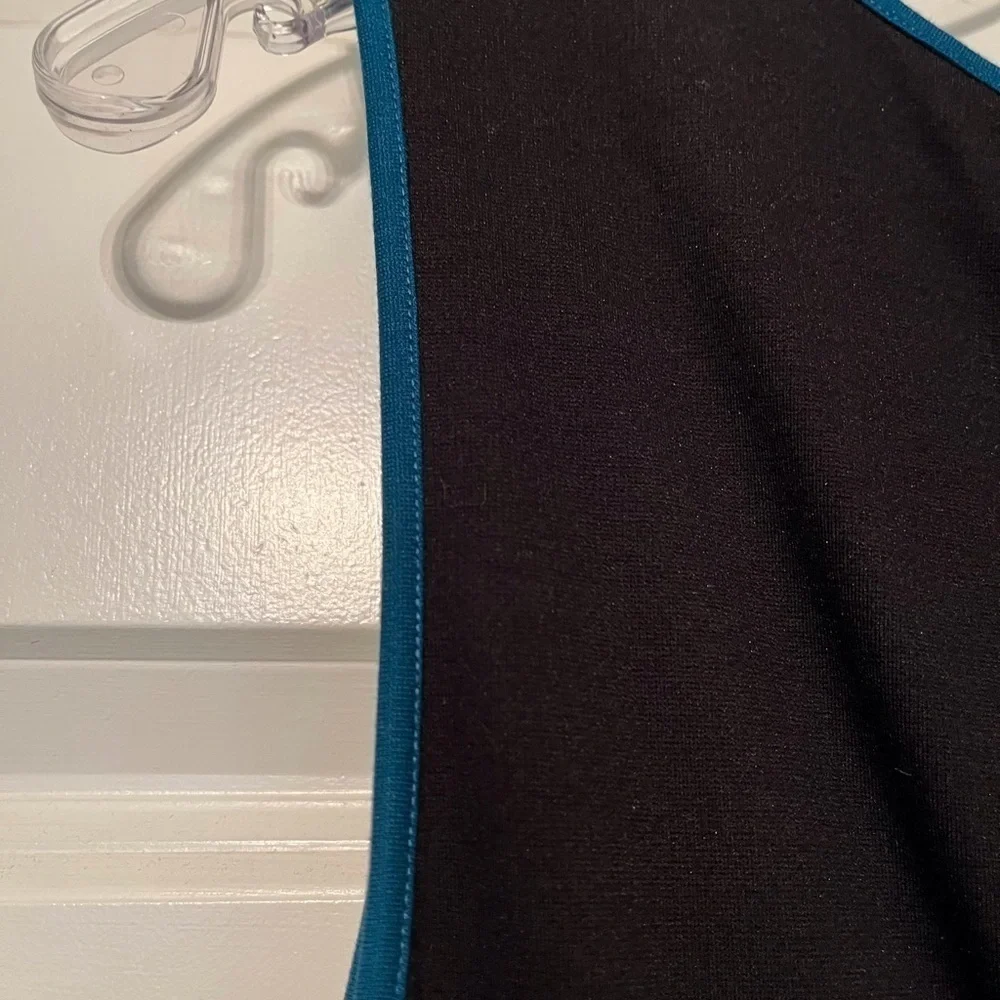 Professional Ann Taylor Sheath Dress Color Blocking Size 10 - Picture 6 of 7